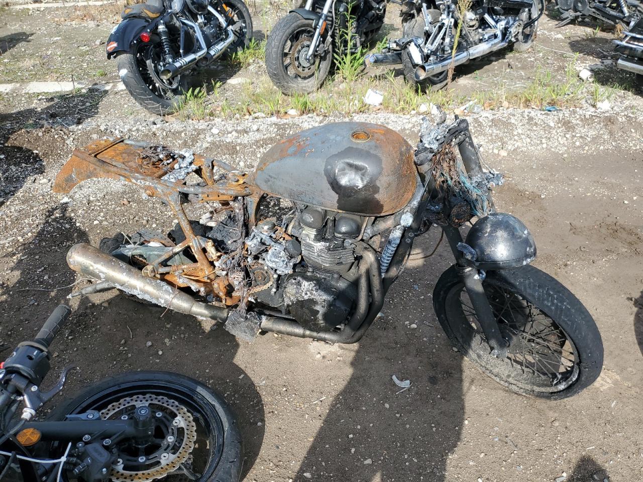 Elgin, IL에서 판매 중인 2014 Triumph Motorcycle Thruxton  - Burn