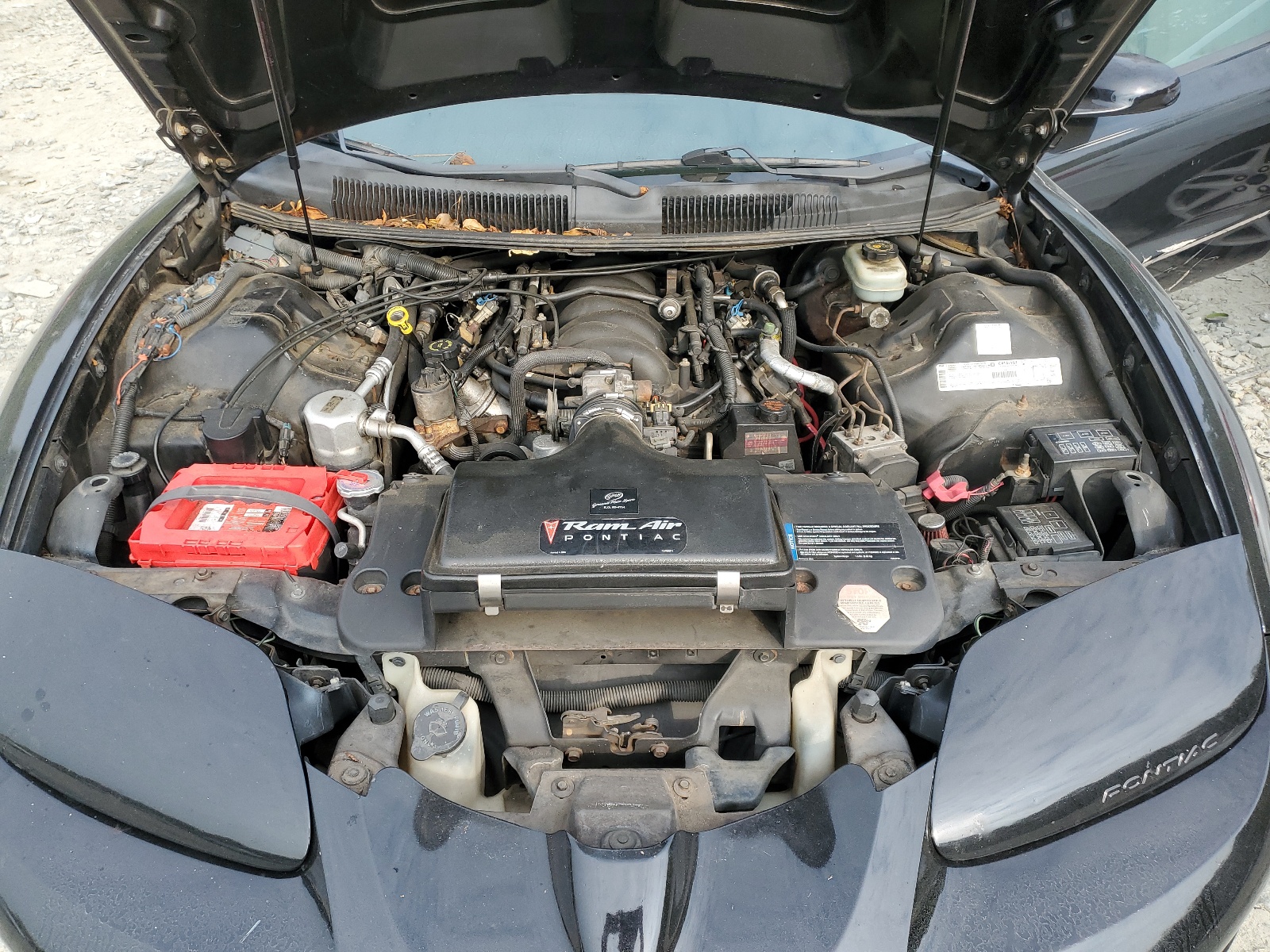 2G2FV22G7Y2141311 2000 Pontiac Firebird Formula