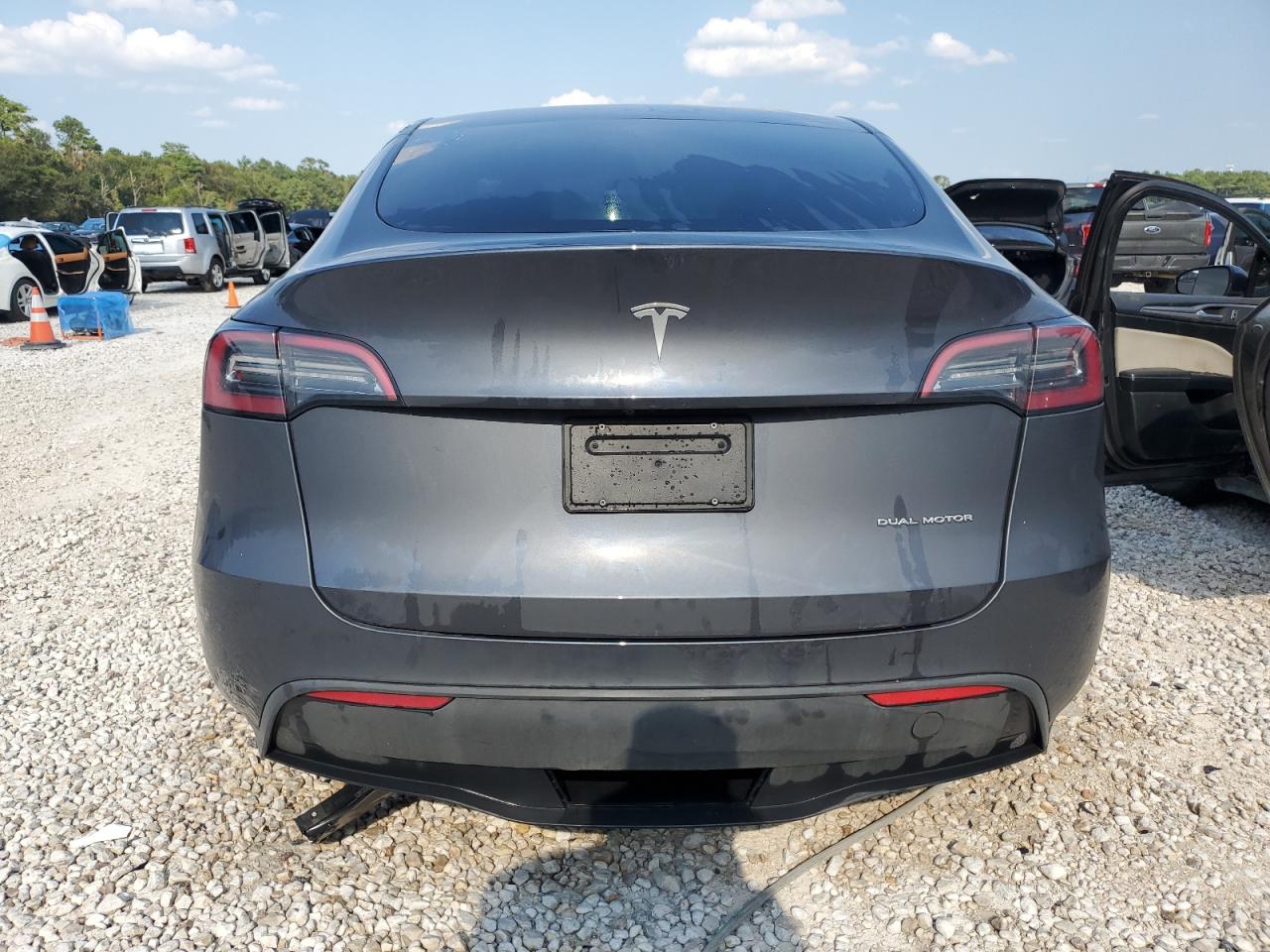 2023 Tesla Model Y VIN: 7SAYGDEEXPF767007 Lot: 65137124