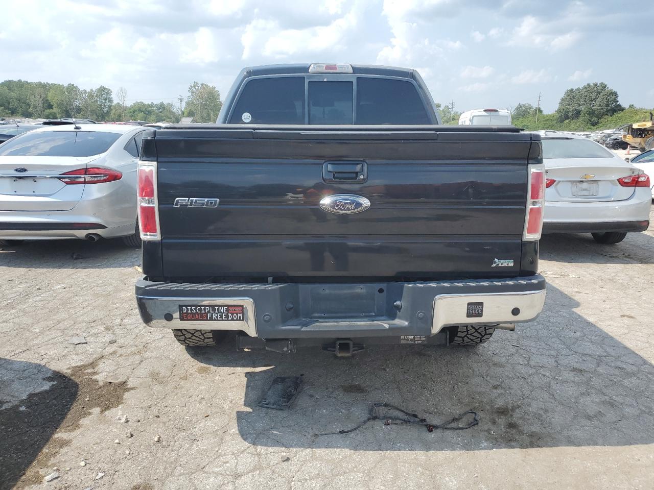 2010 Ford F150 Supercrew VIN: 1FTFW1EV7AFA03625 Lot: 68630014