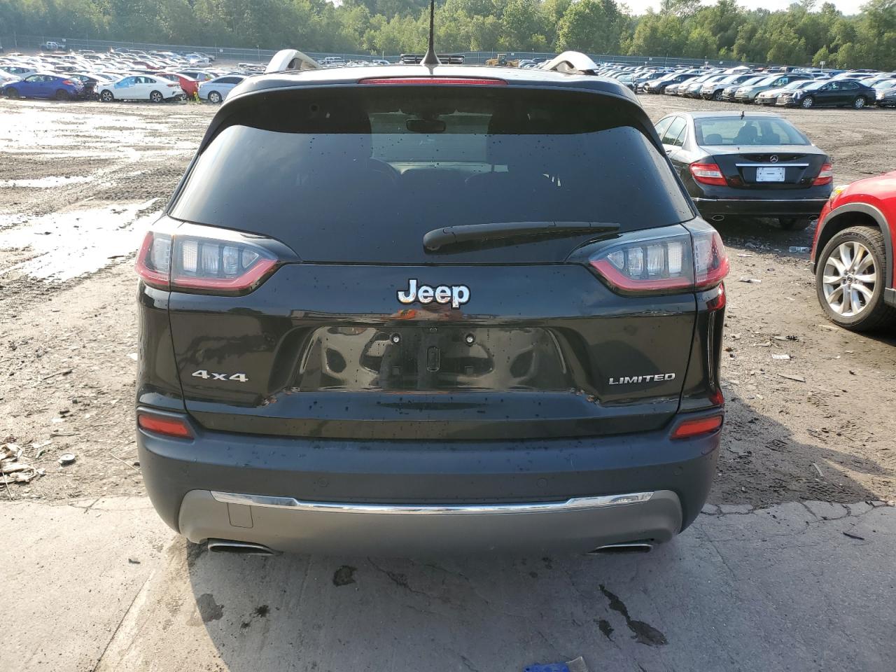 2019 Jeep Cherokee Limited VIN: 1C4PJMDN1KD229517 Lot: 65955944