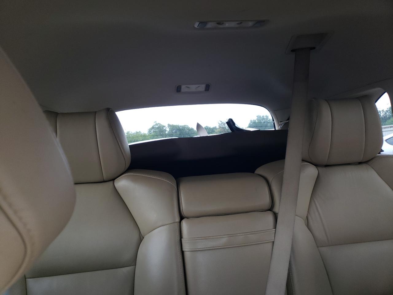 2010 Acura Mdx VIN: 2HNYD2H21AH509756 Lot: 65910894