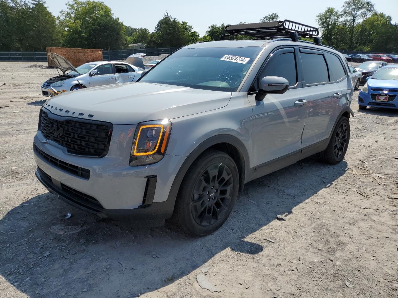2022 Kia Telluride Ex VIN: 5XYP3DHC7NG282036 Lot: 65824744
