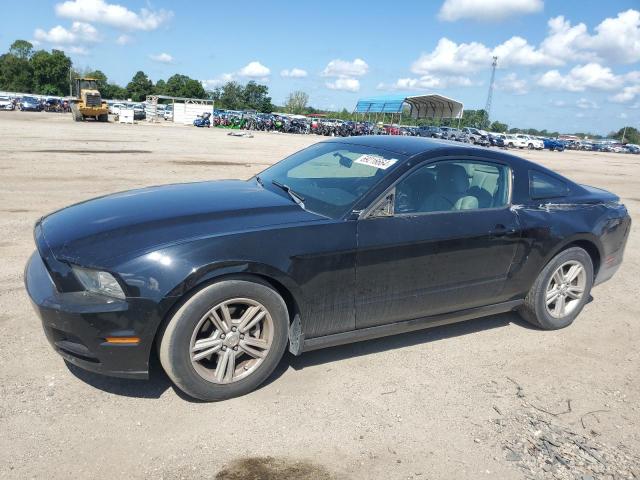 2013 Ford Mustang 