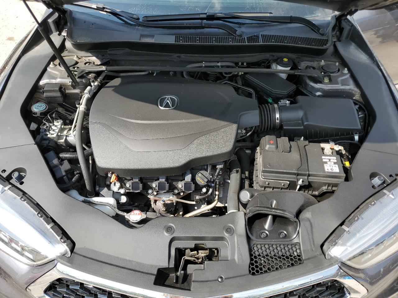 2019 Acura Tlx VIN: 19UUB3F3XKA005137 Lot: 65392714