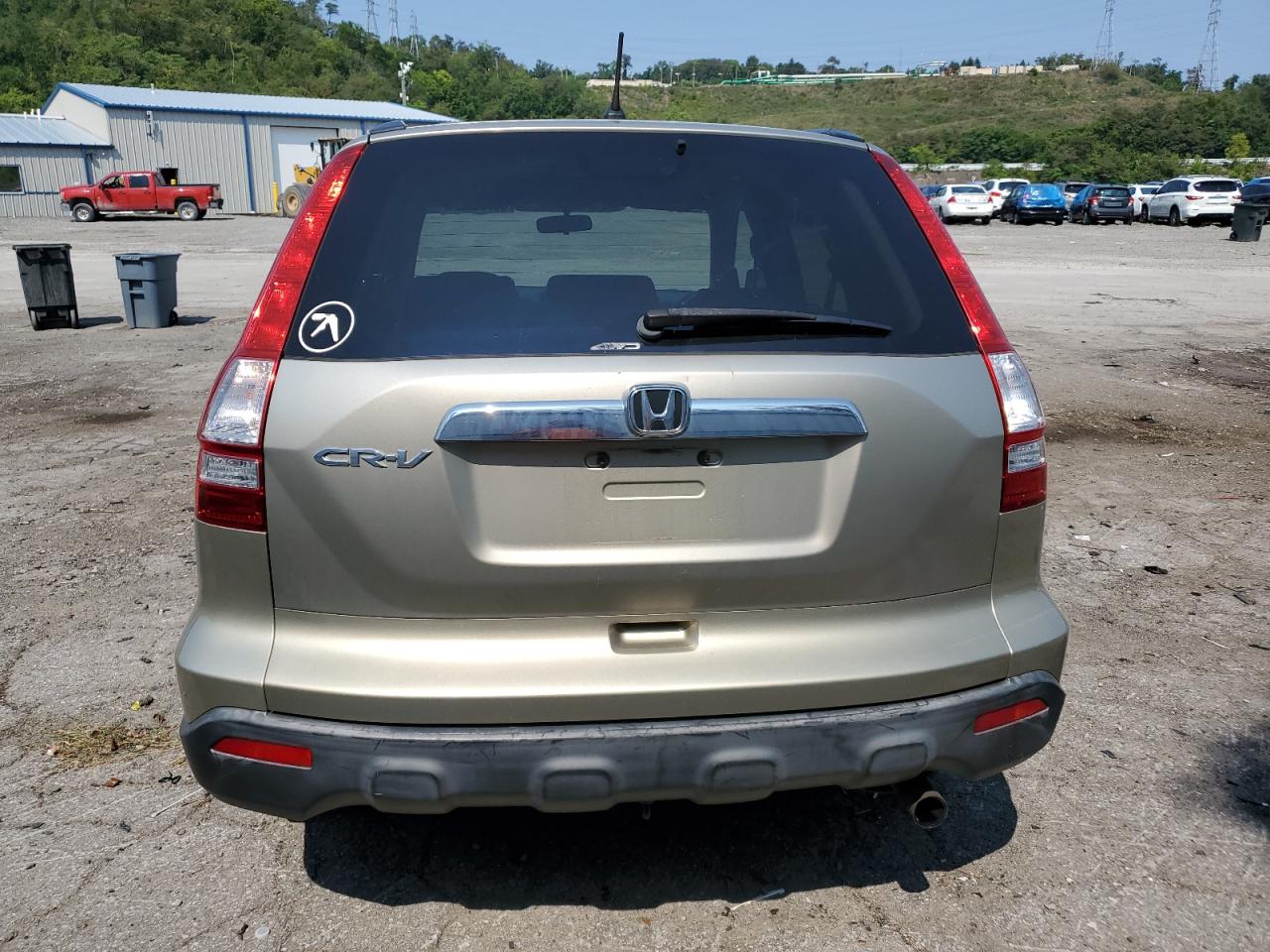 2007 Honda Cr-V Ex VIN: JHLRE48567C120087 Lot: 65770134