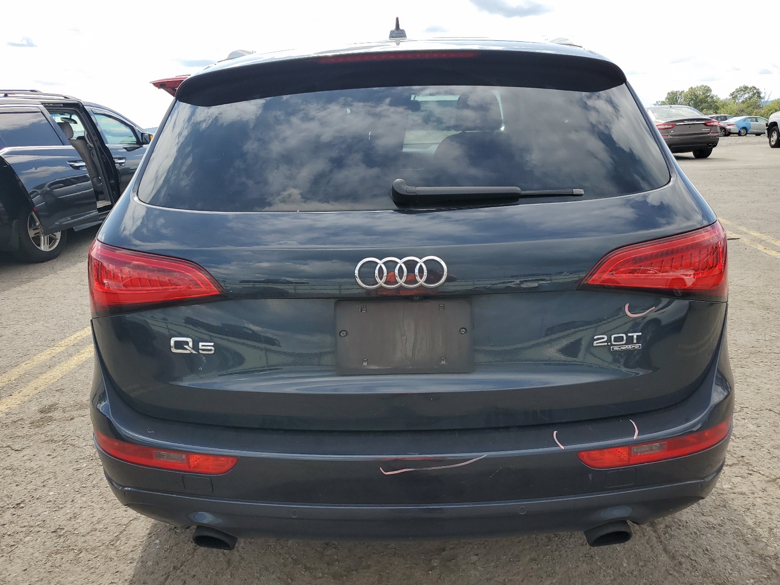 WA1LFAFP7DA016695 2013 Audi Q5 Premium Plus