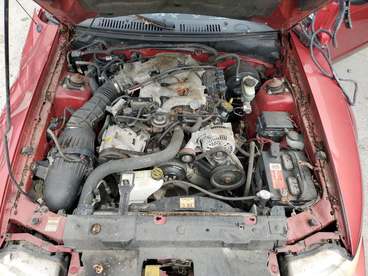 2000 Ford Mustang VIN: 1FAFP4040YF292019 Lot: 65571714