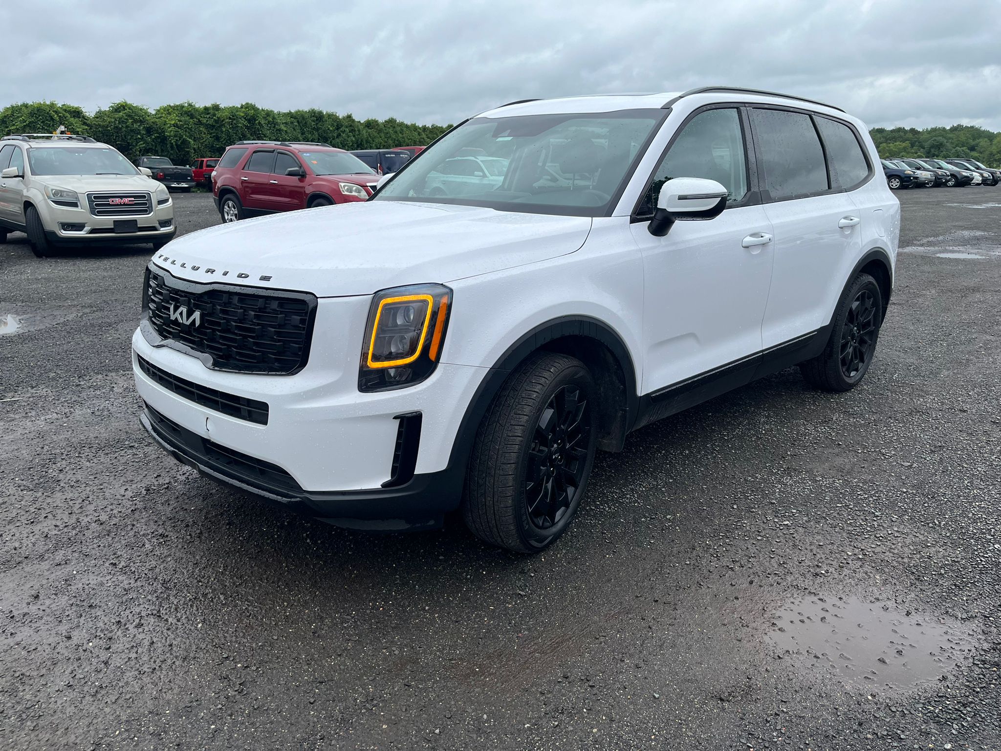 2022 Kia Telluride Ex vin: 5XYP3DHC2NG263099