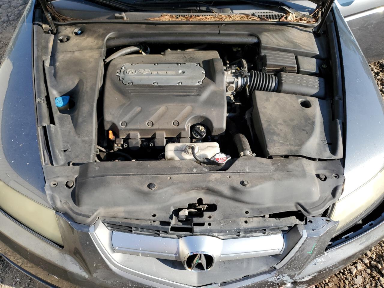 19UUA66256A066722 2006 Acura 3.2Tl