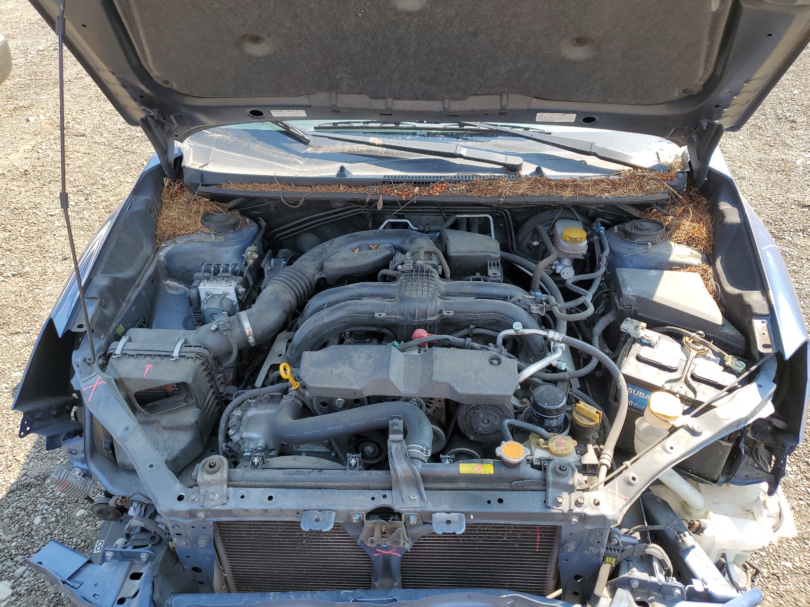 JF1GPAU69EH337523 2014 Subaru Impreza Sport Limited