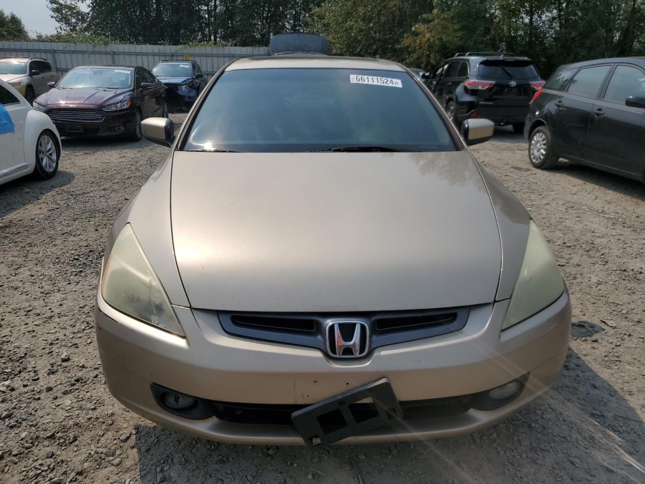 2004 Honda Accord Ex VIN: 1HGCM66594A091049 Lot: 66111524