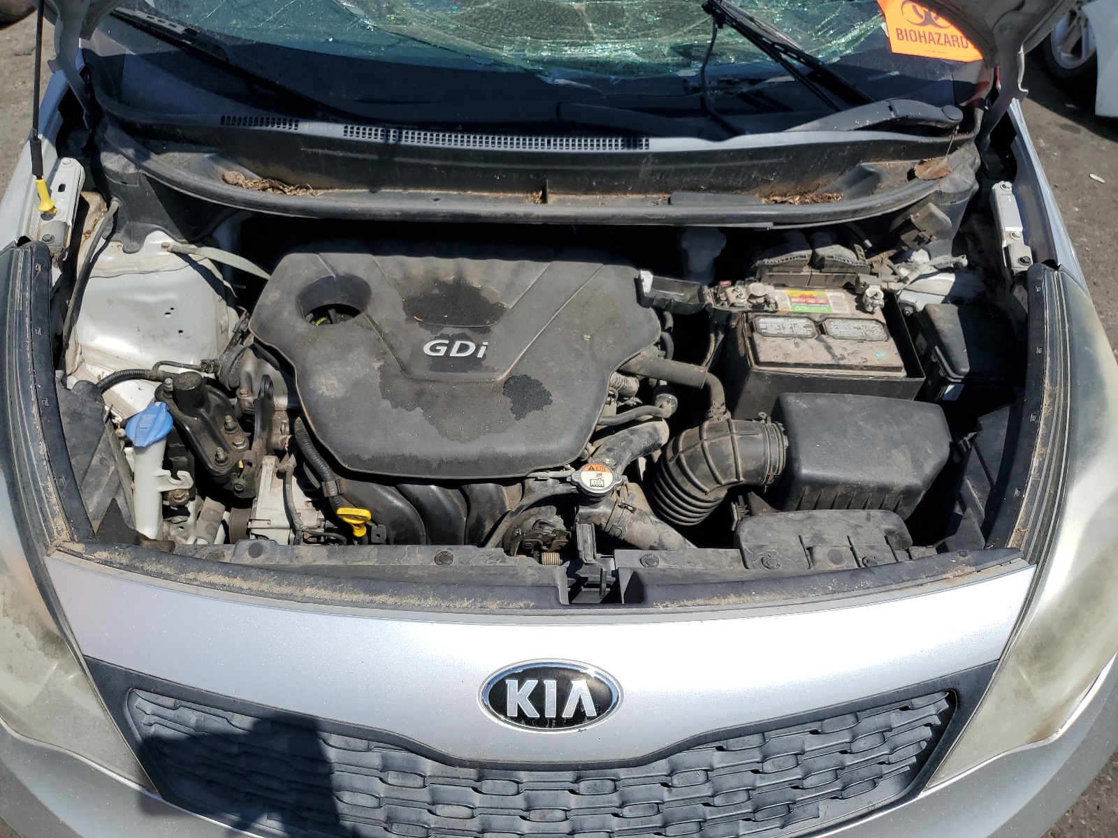 KNADM4A39E6362366 2014 Kia Rio Lx