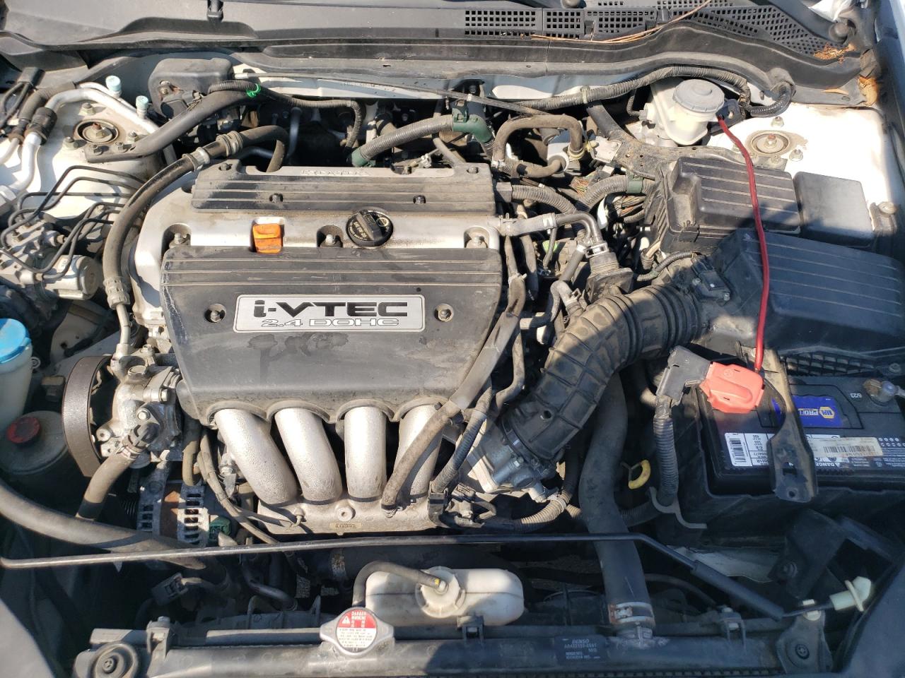 2006 Honda Accord Se VIN: 1HGCM56316A177192 Lot: 67462384