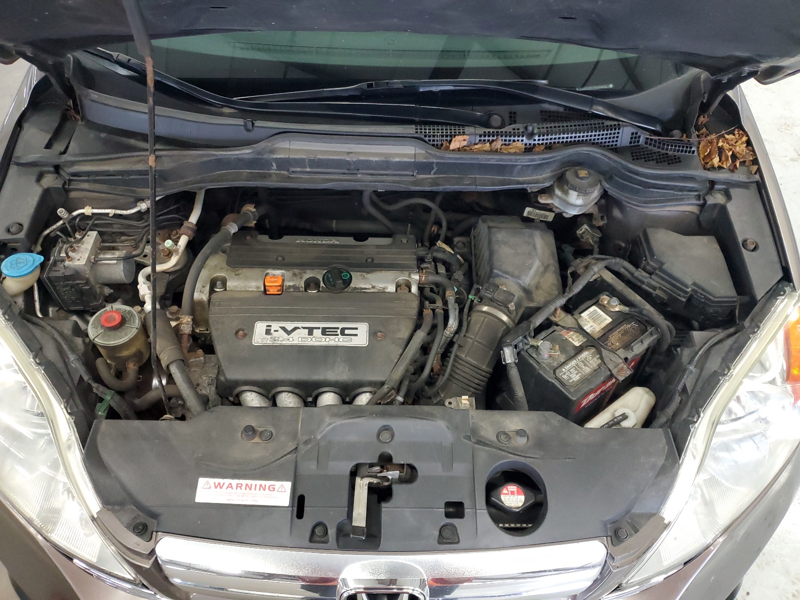 5J6RE48519L054414 2009 Honda Cr-V Ex