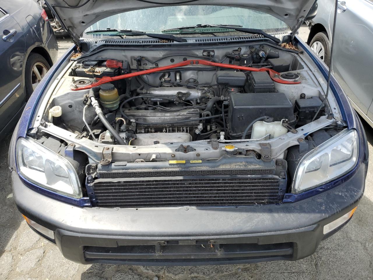 1998 Toyota Rav4 VIN: JT3HP10V3W0176490 Lot: 66627754