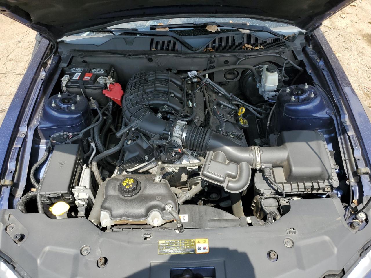 2012 Ford Mustang VIN: 1ZVBP8AM0C5223096 Lot: 65433494