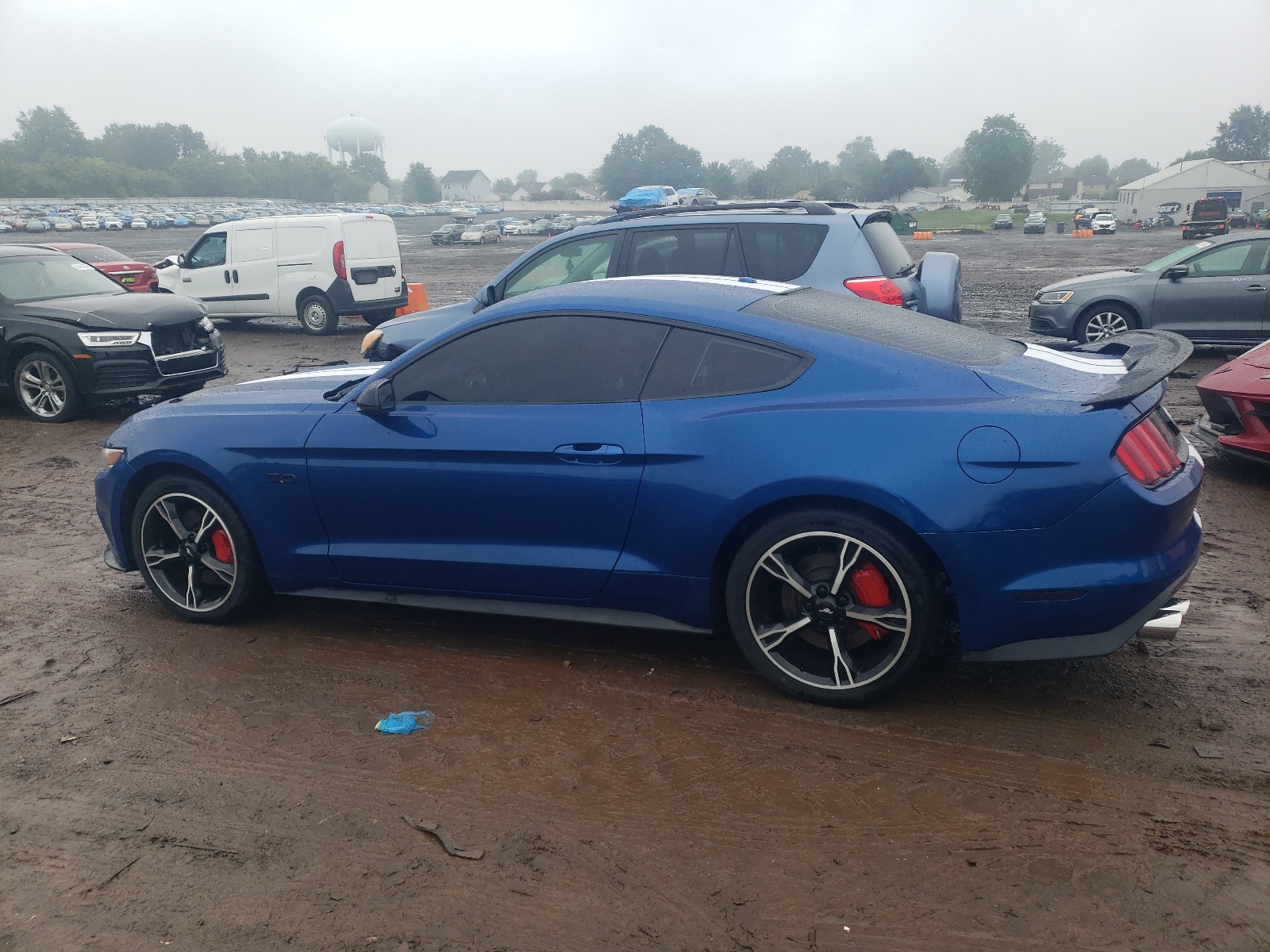 2017 Ford Mustang Gt vin: 1FA6P8CF0H5338703