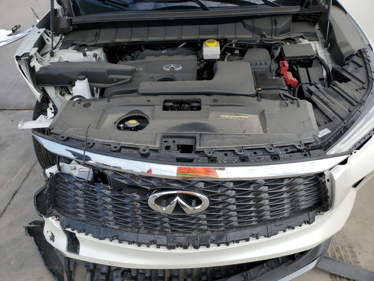 5N1DL1GSXRC331231 2024 Infiniti Qx60 Sensory