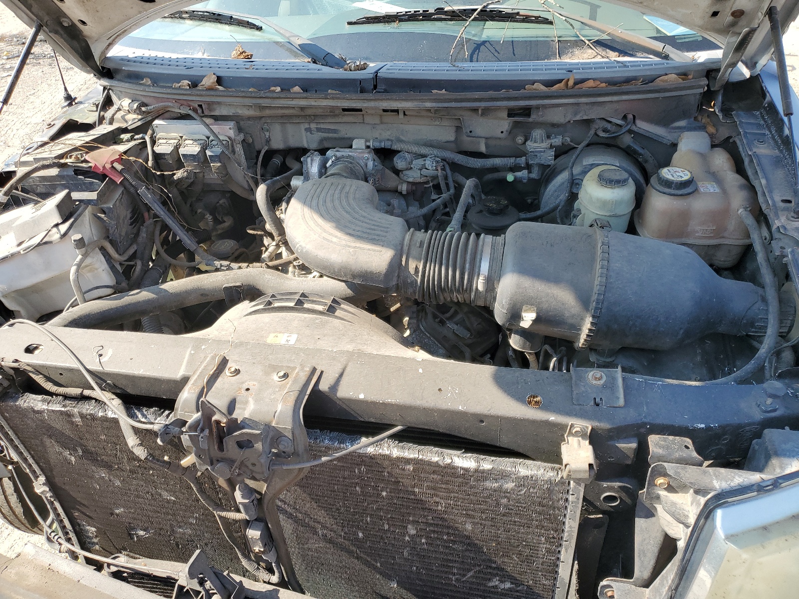 1FTRF12W05KC00918 2005 Ford F150 1FTRF12W05KC00918 2005 Ford F150