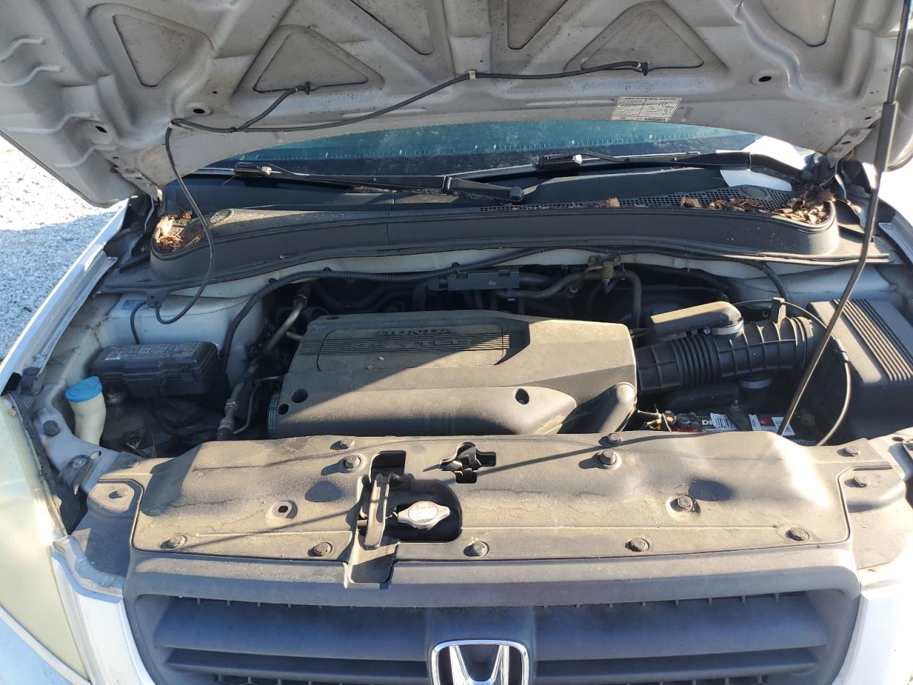 2003 Honda Pilot Exl VIN: 2HKYF18633H589262 Lot: 66721674