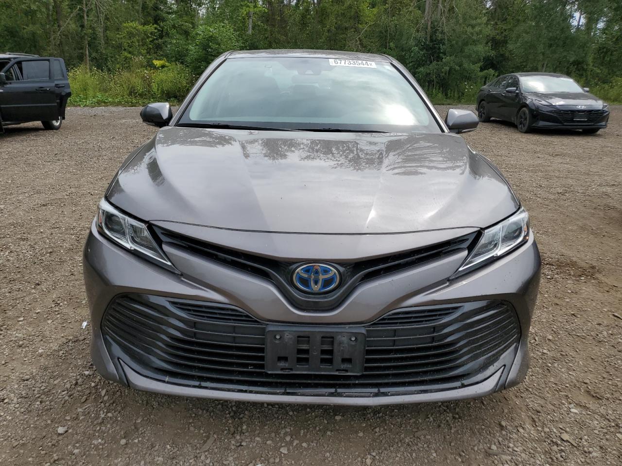 4T1B31HK9KU509670 2019 Toyota Camry Le