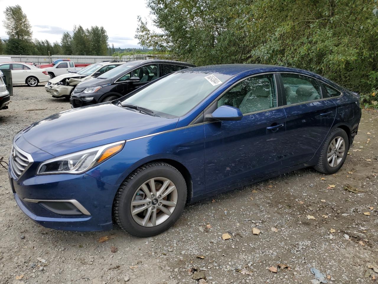 5NPE24AF4HH530481 2017 HYUNDAI SONATA - Image 1