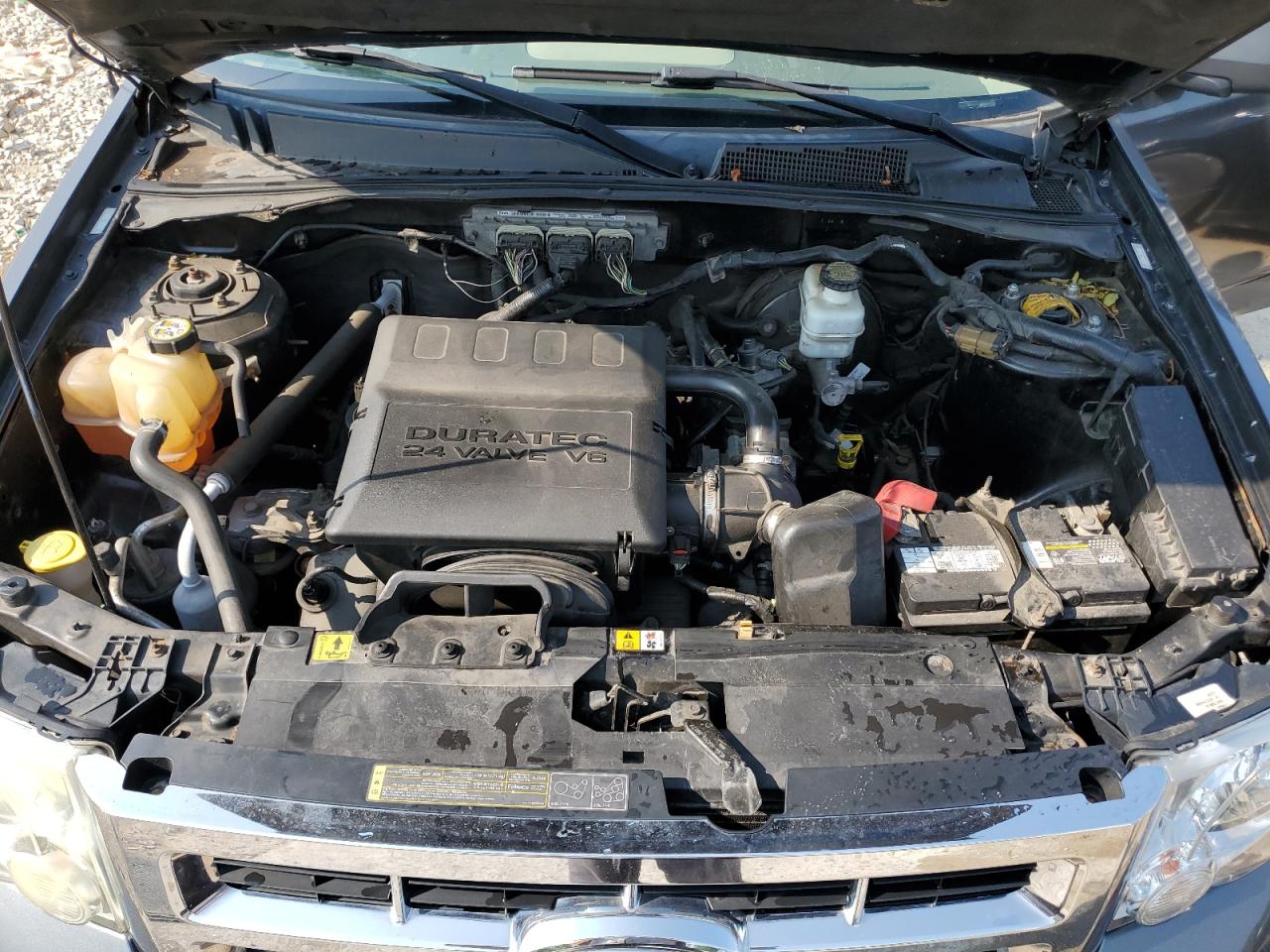 2009 Ford Escape Xlt VIN: 1FMCU03GX9KA18304 Lot: 65808564