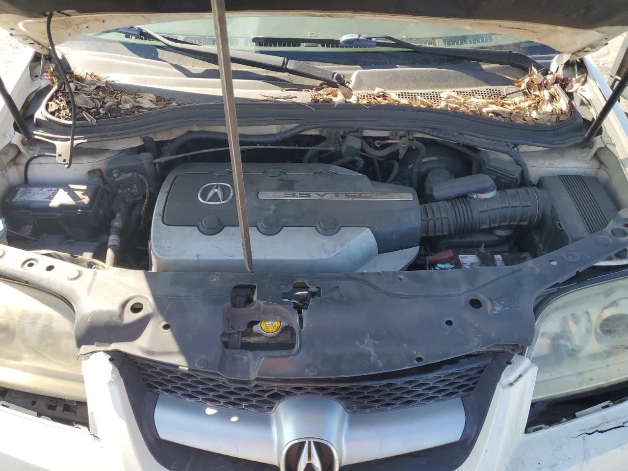 2004 Acura Mdx Touring VIN: 2HNYD18954H547258 Lot: 65770114