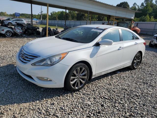  HYUNDAI SONATA 2013 White