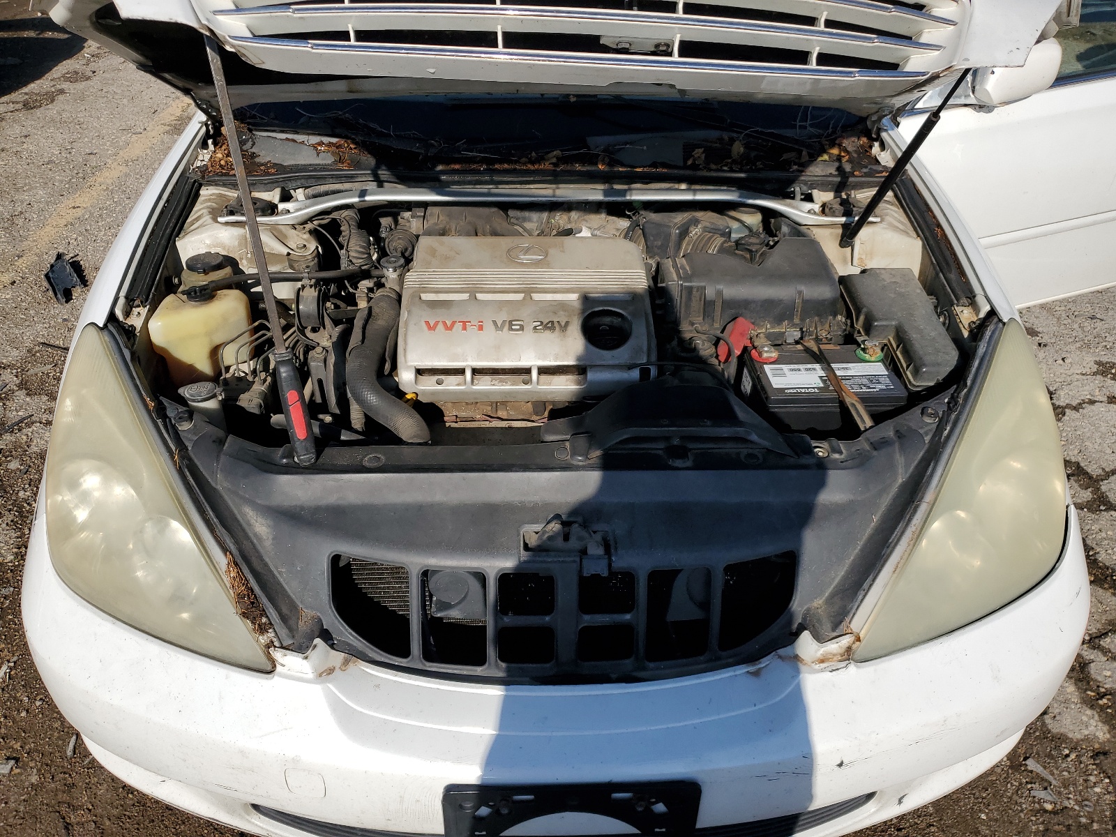 JTHBF30G030116985 2003 Lexus Es 300