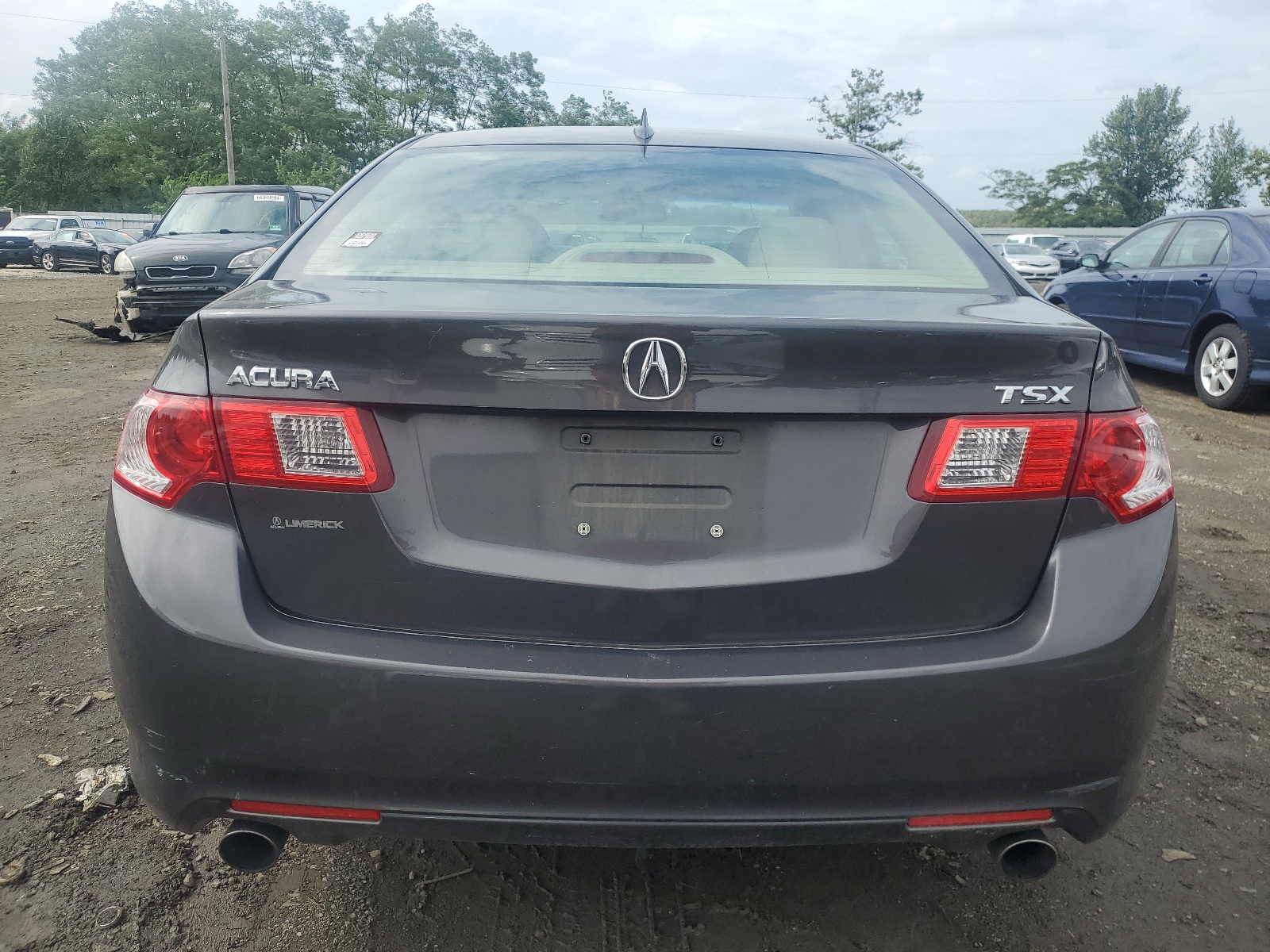 JH4CU2F67AC013366 2010 Acura Tsx