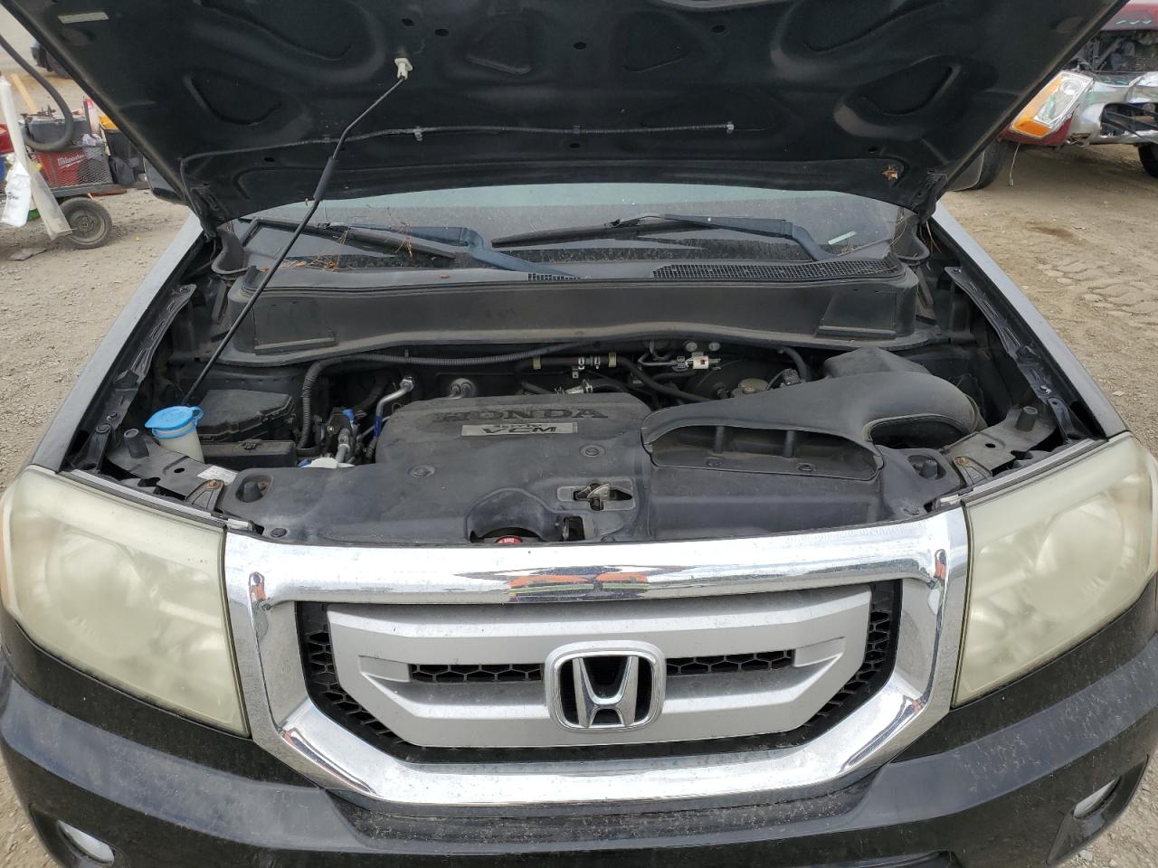 2009 Honda Pilot Exl VIN: 5FNYF38579B015953 Lot: 66115584