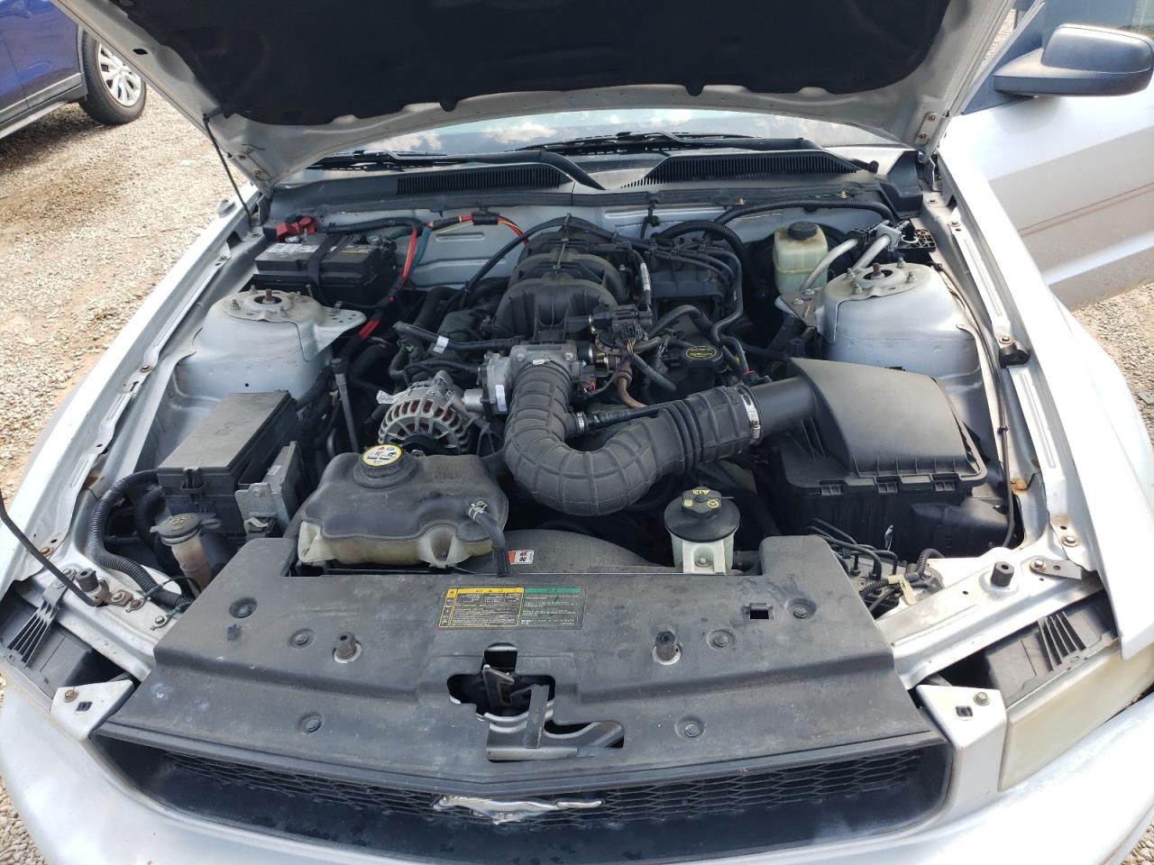 2006 Ford Mustang VIN: 1ZVFT84N465217808 Lot: 67425654