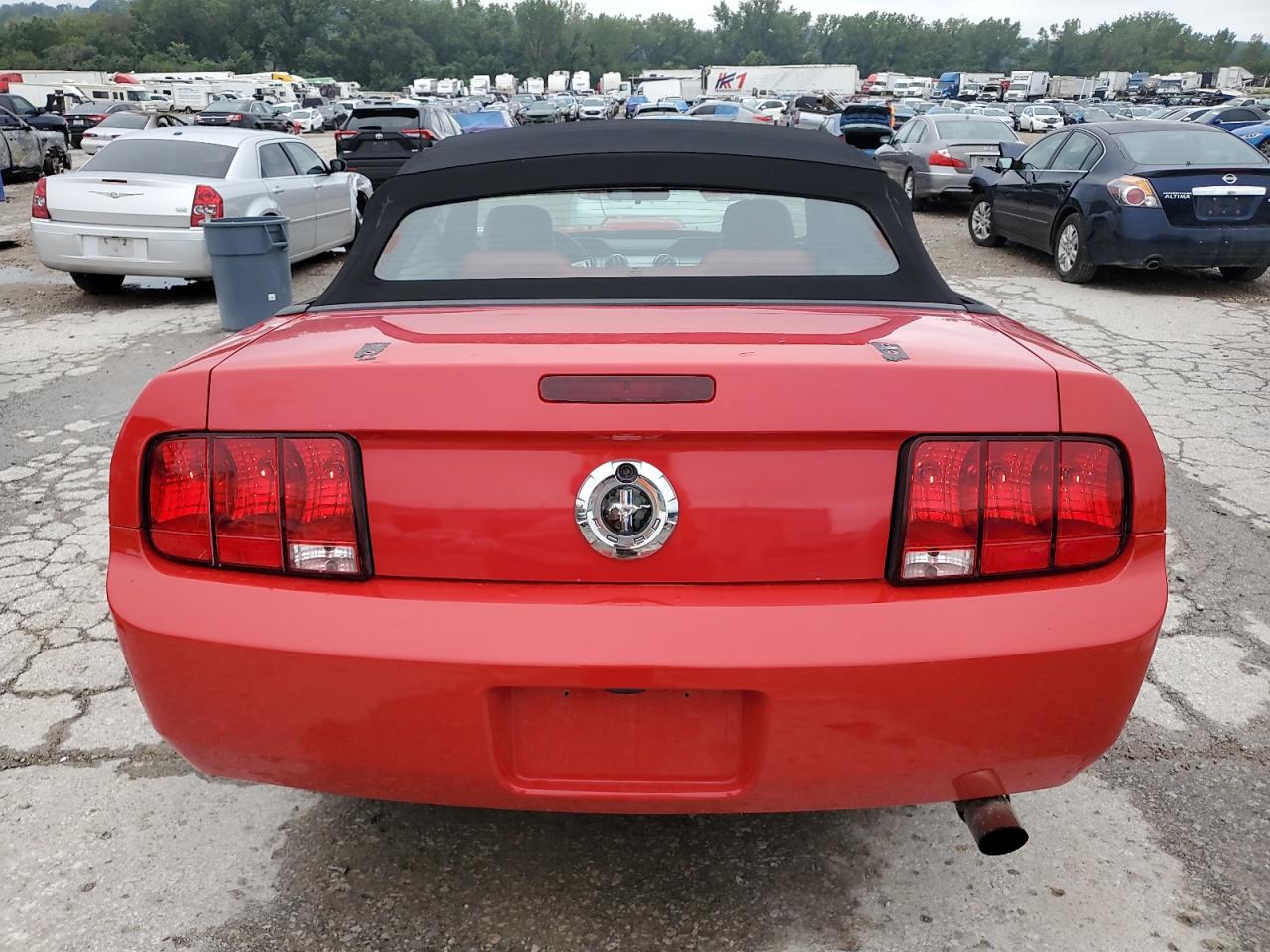 2005 Ford Mustang VIN: 1ZVHT84N655255242 Lot: 66977544