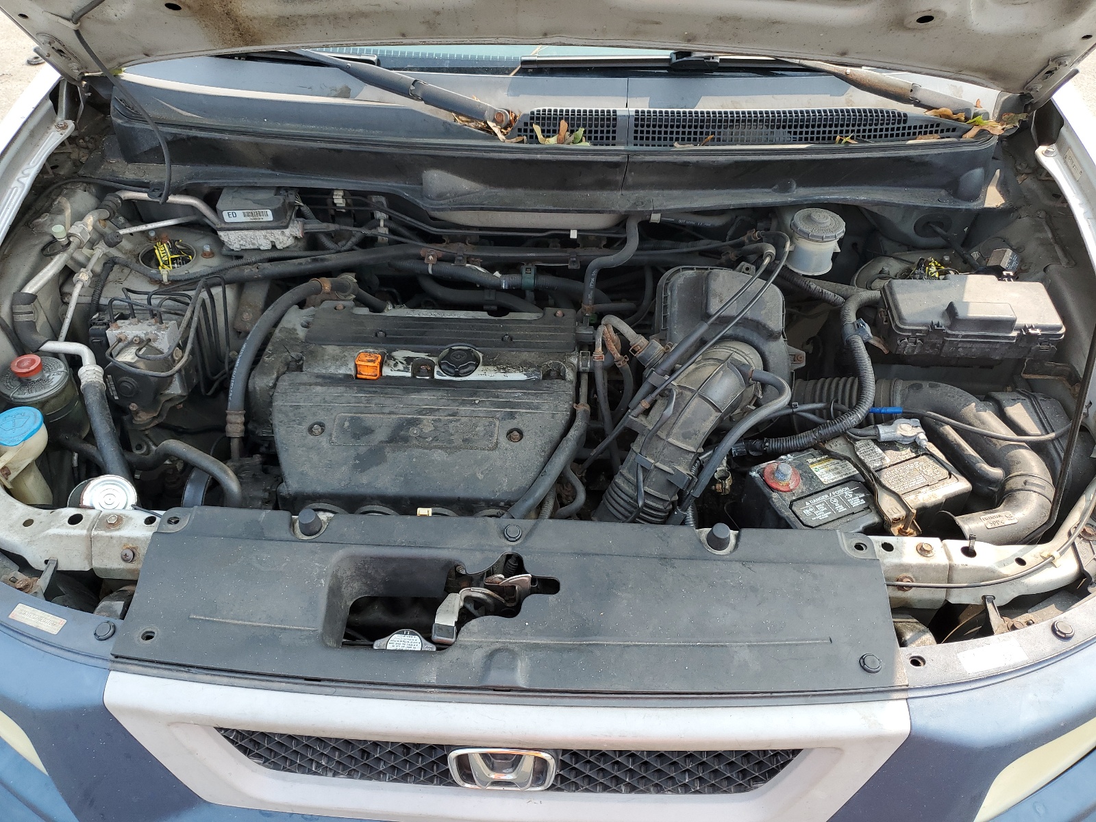 5J6YH28695L007142 2005 Honda Element Ex