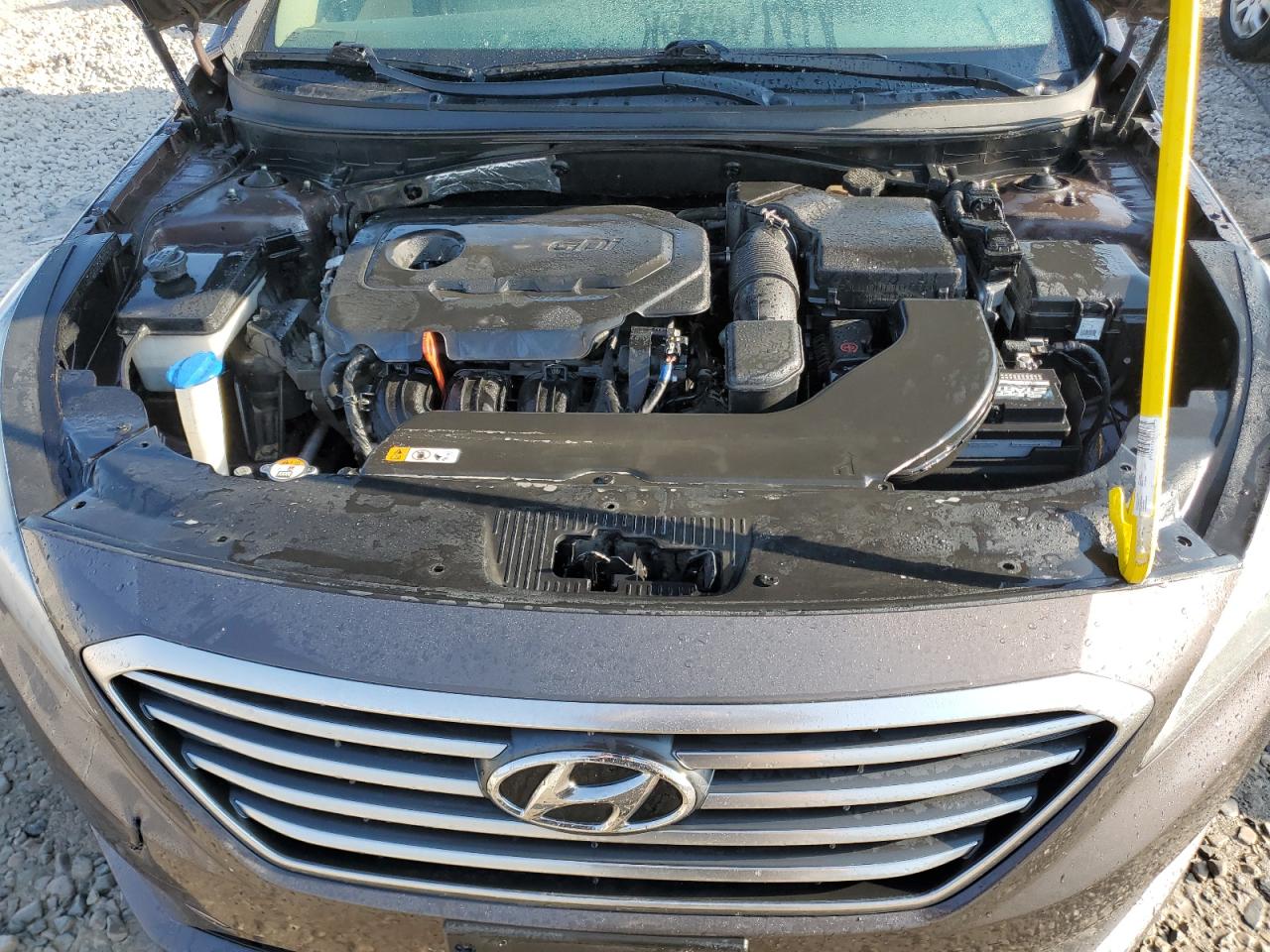 5NPE24AF7HH573910 2017 Hyundai Sonata Se