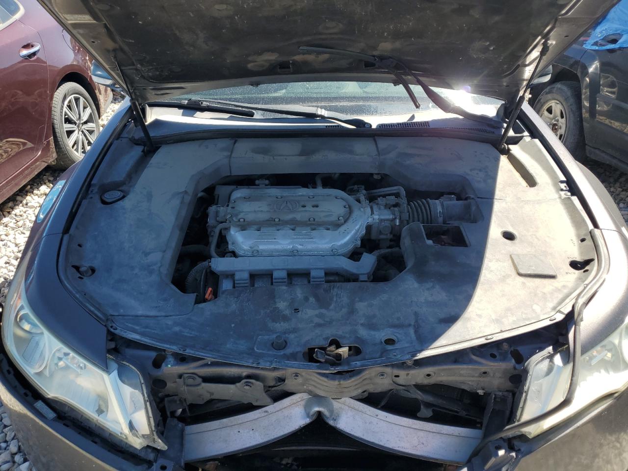 2009 Acura Tl VIN: 19UUA86289A007373 Lot: 66907614