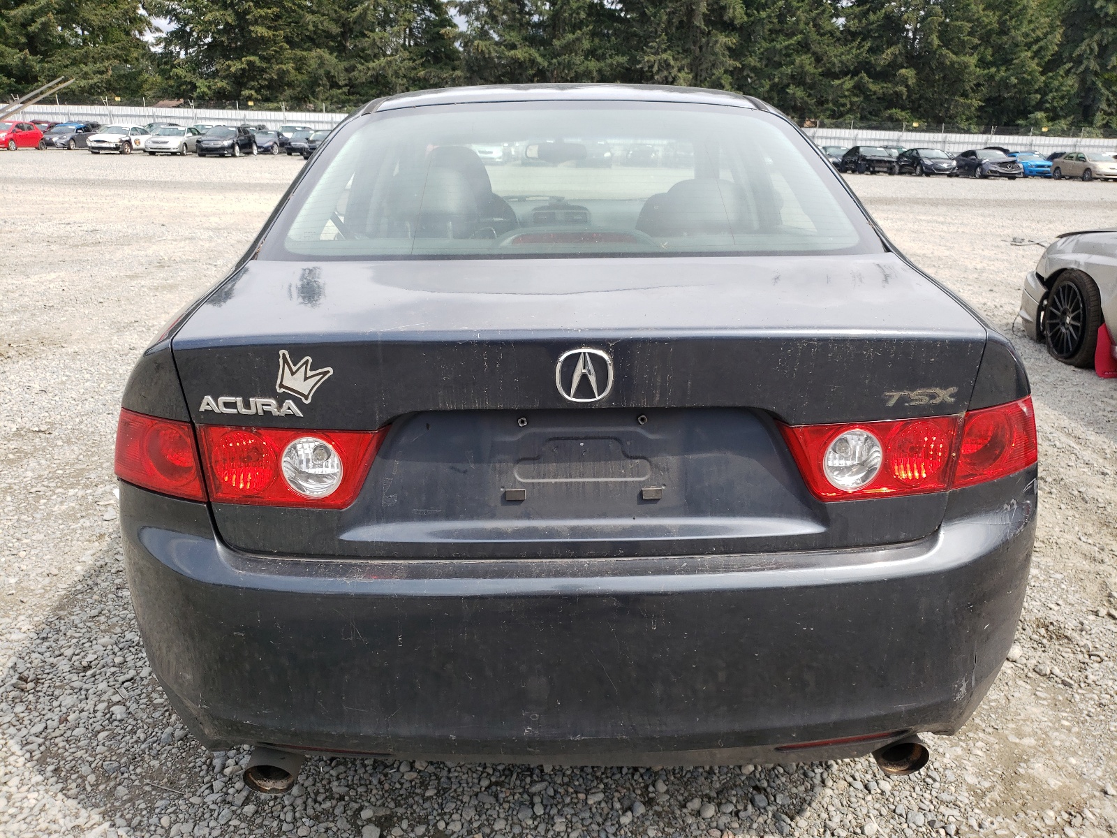 JH4CL96804C010360 2004 Acura Tsx