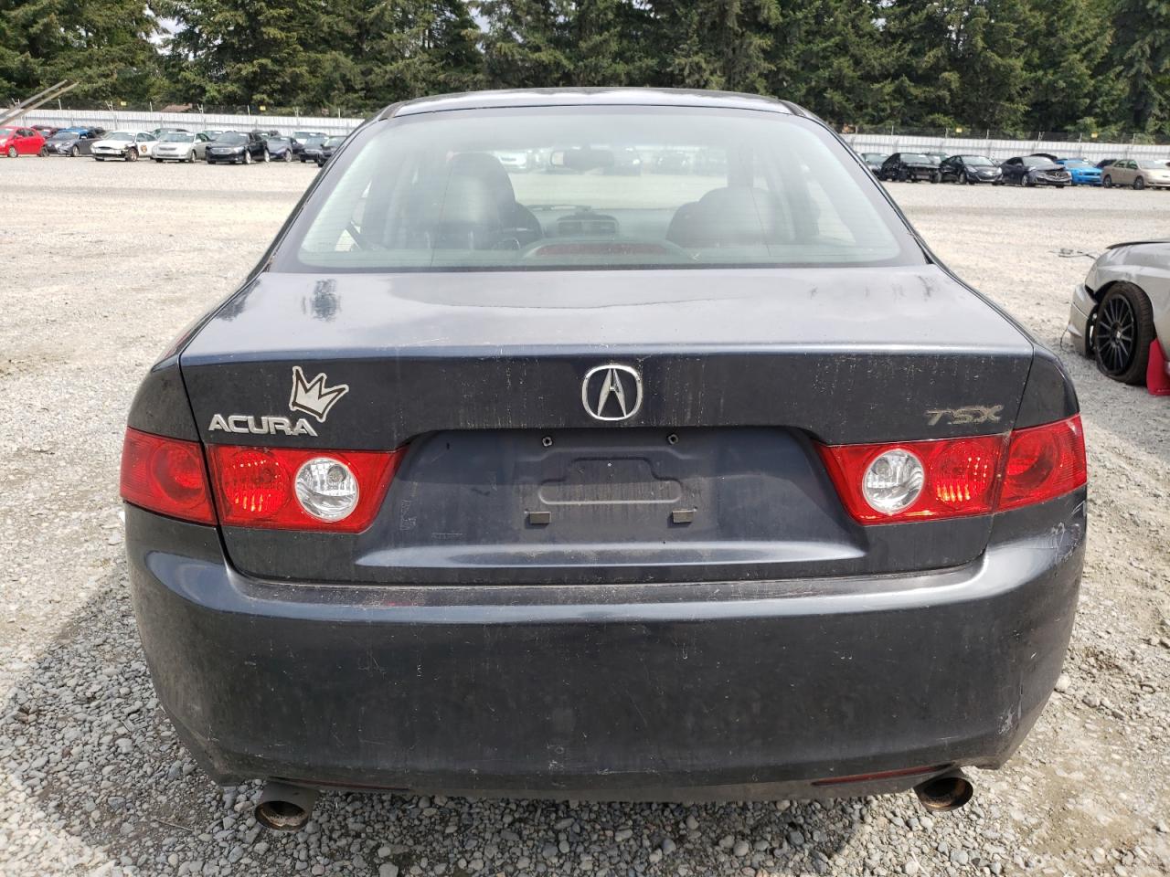 2004 Acura Tsx VIN: JH4CL96804C010360 Lot: 68499574