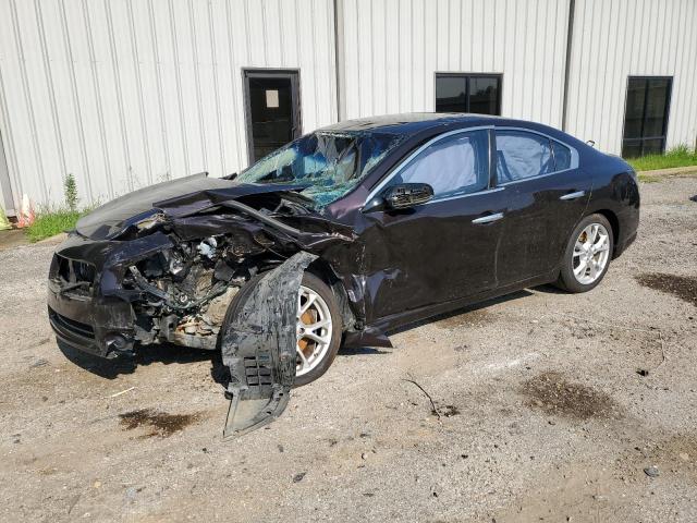  NISSAN MAXIMA 2013 Maroon