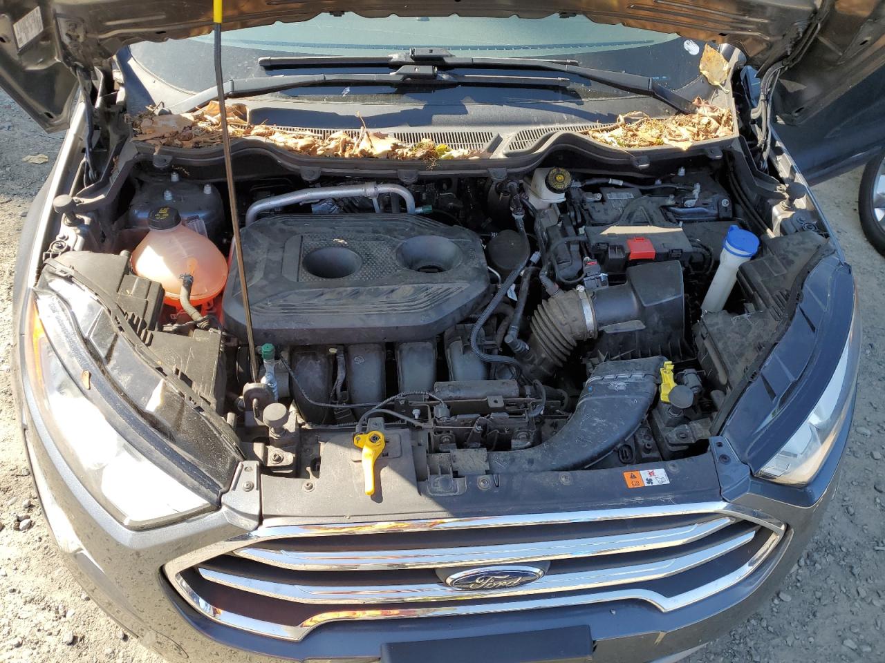 2019 Ford Ecosport Titanium VIN: MAJ6S3KL3KC251194 Lot: 65920864