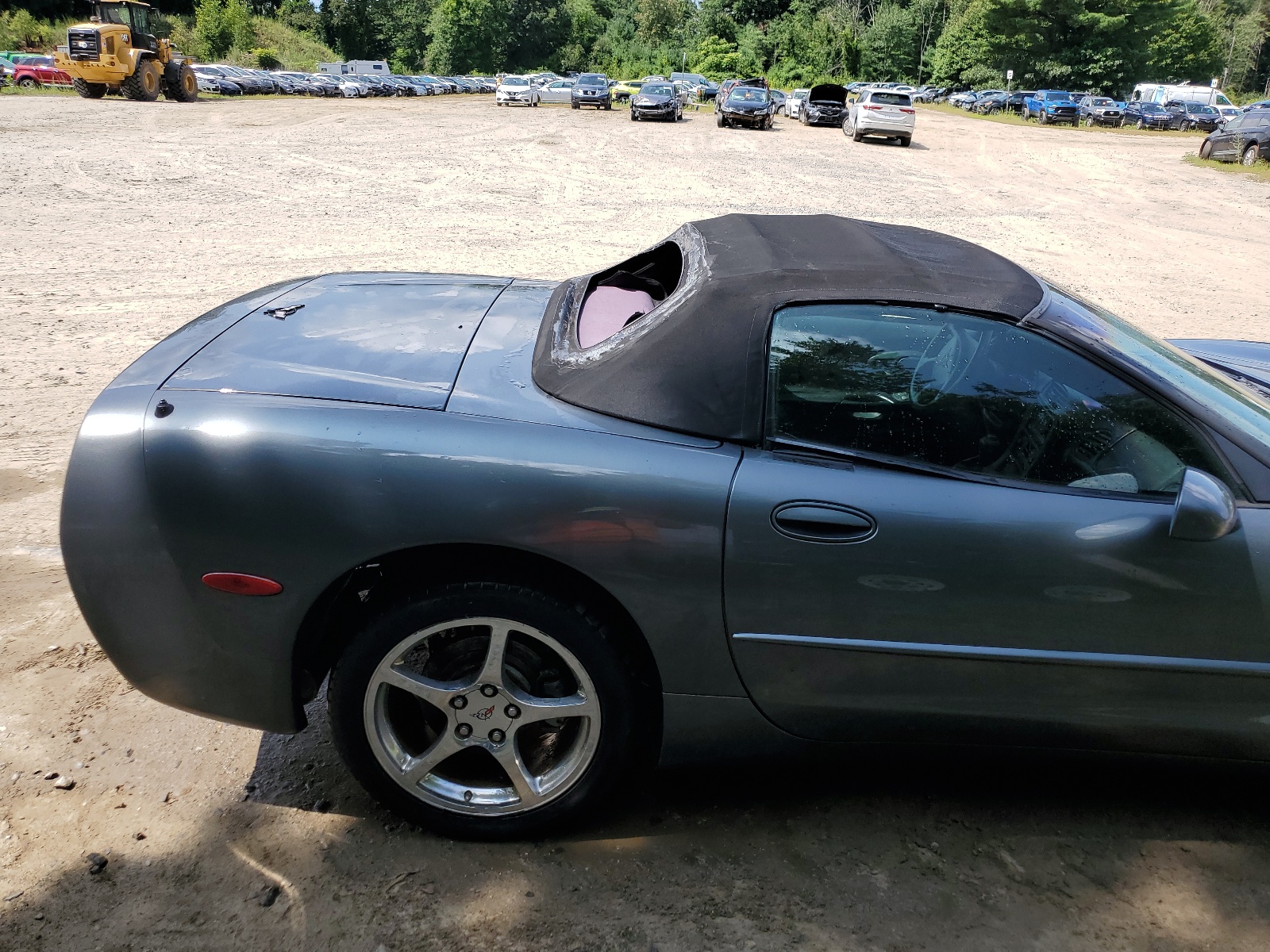 1G1YY32G145100519 2004 Chevrolet Corvette