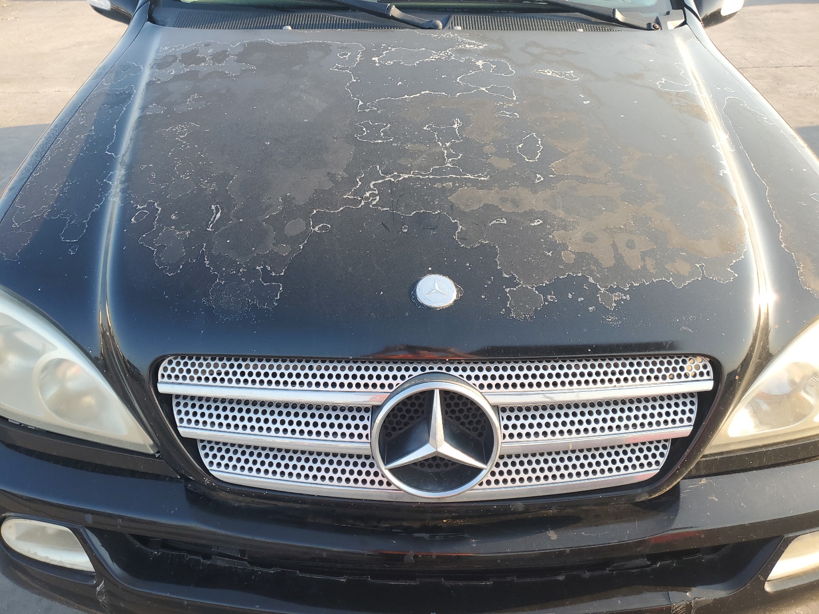 4JGAB57E73A428607 2003 Mercedes-Benz Ml 350