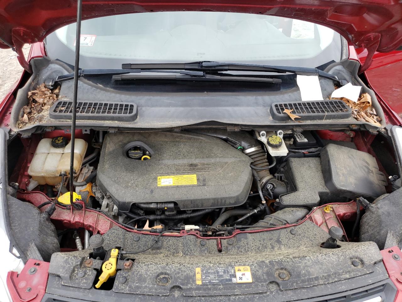 2014 Ford Escape Se VIN: 1FMCU9GX8EUC72431 Lot: 66676394