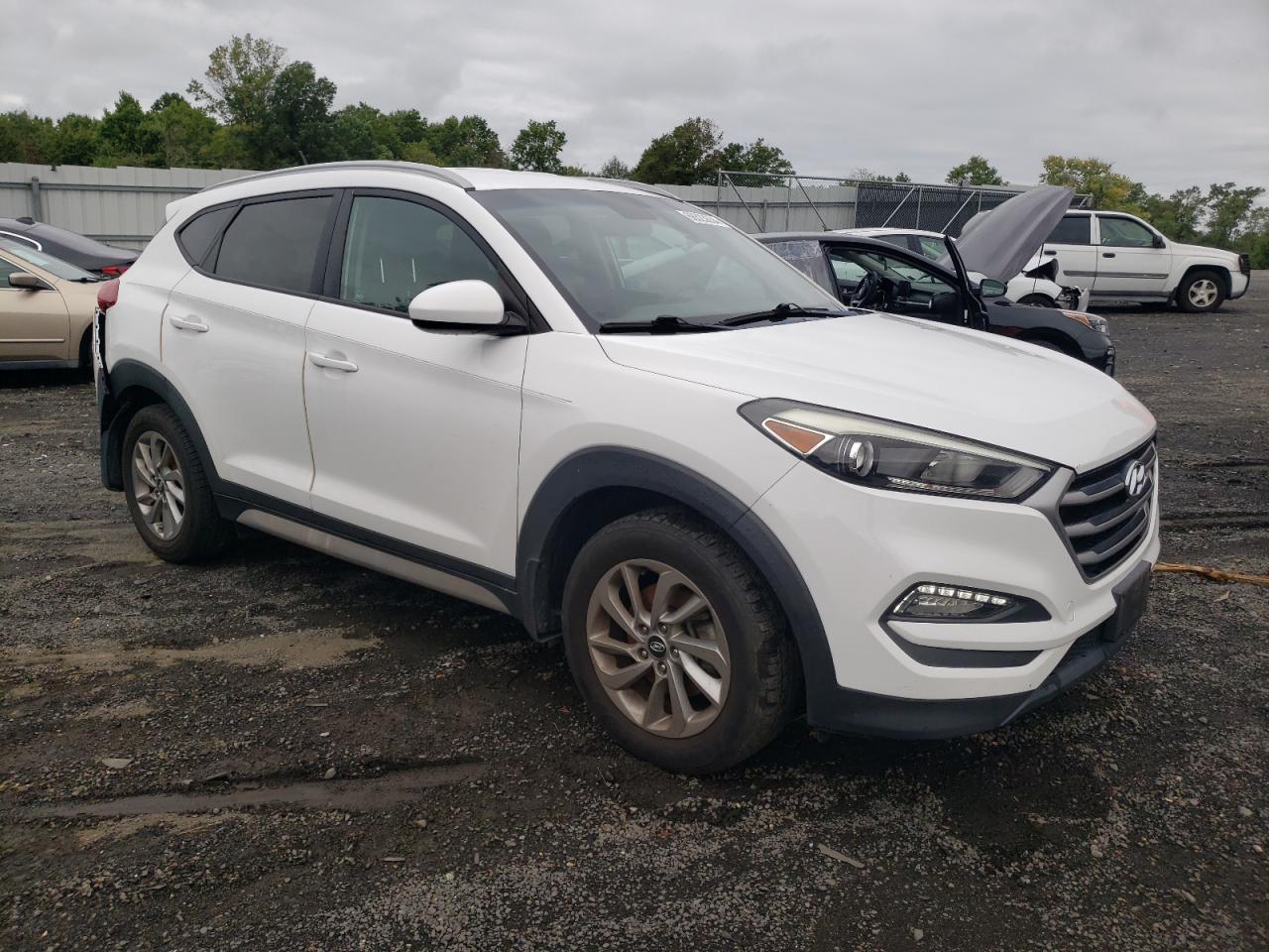 2017 Hyundai Tucson Limited VIN: KM8J3CA47HU566168 Lot: 68523634