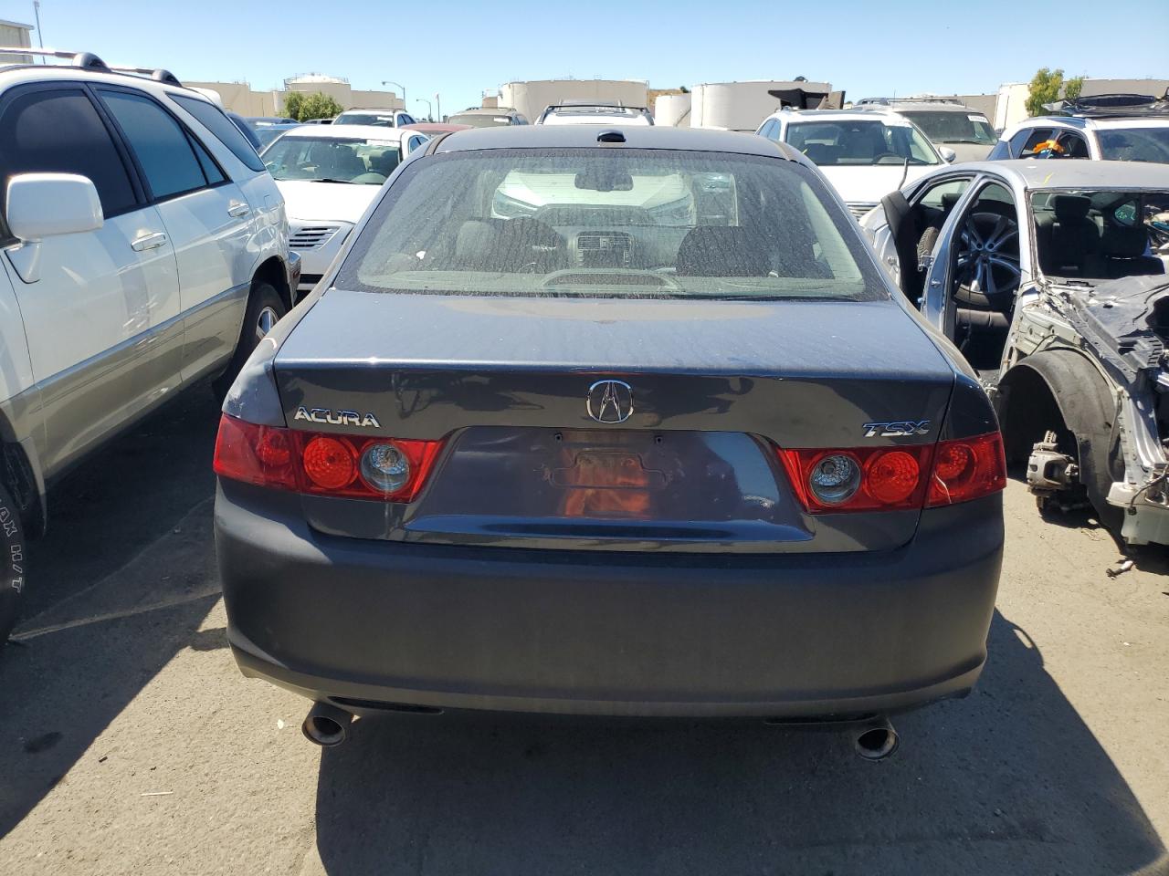 2007 Acura Tsx VIN: JH4CL96987C013648 Lot: 67048494