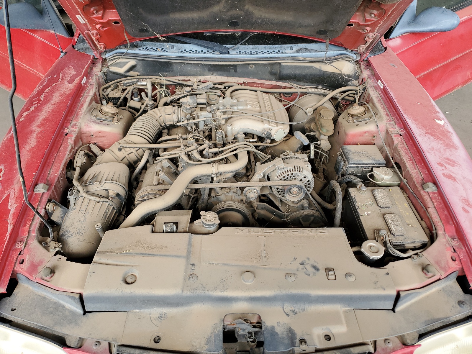 1FALP4046SF161011 1995 Ford Mustang