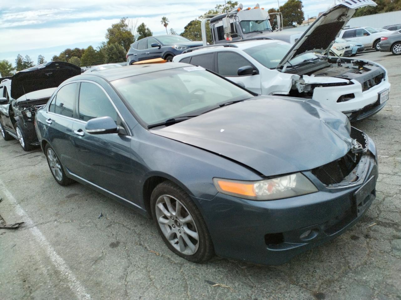 2006 Acura Tsx VIN: JH4CL96866C038330 Lot: 65867344