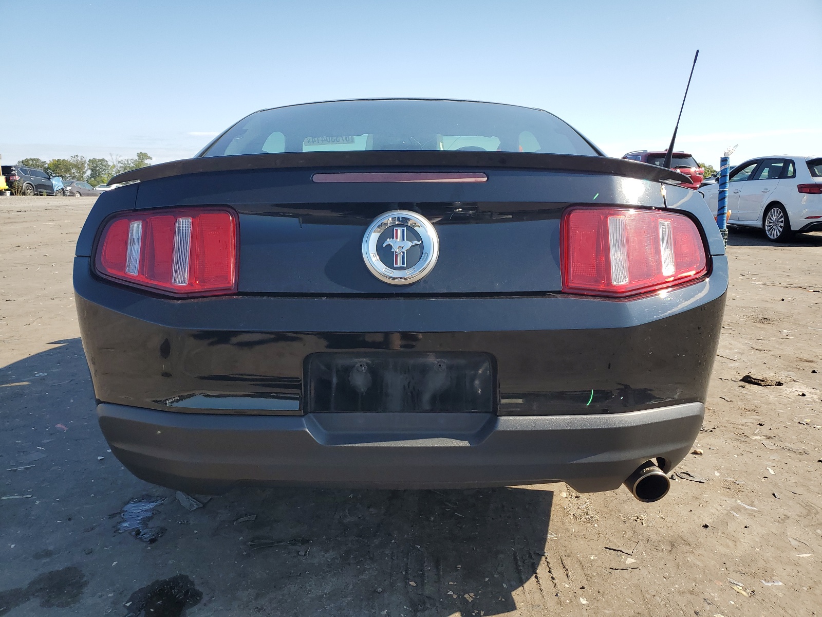 1ZVBP8AN1A5123921 2010 Ford Mustang